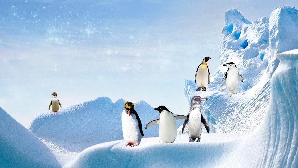 Aquí está el pingüino que captura el sentido de comunidad de cada signo del zodíaco