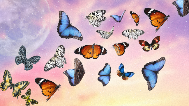 Aquí está la mariposa que captura la capacidad de transformación de cada signo del zodíaco