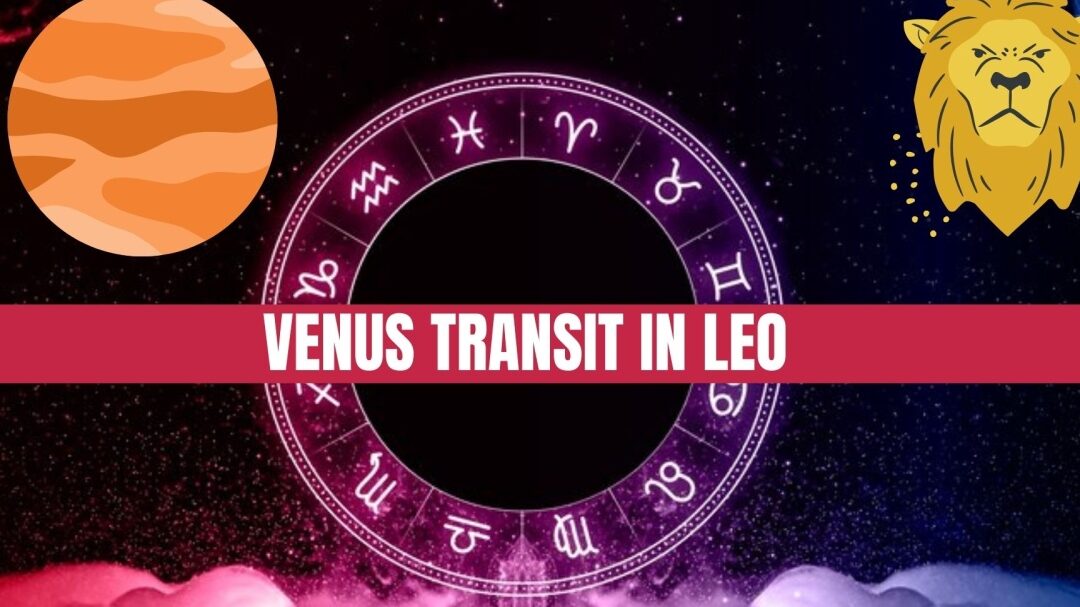 Cómo afecta Venus en Leo a cada signo del zodíaco (de junio a octubre de 2023)