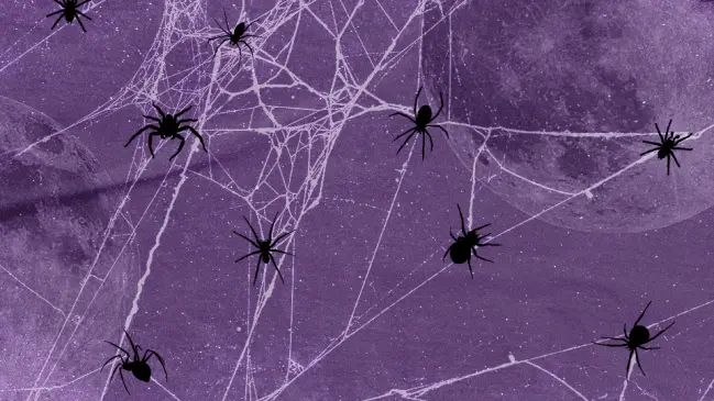 Cada signo del zodíaco tiene una araña que capta el lado oscuro de su personalidad